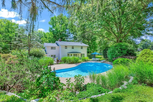 2215 E Rosebrier St, Springfield, MO 65804 - outdoor pool with a patio