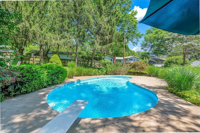2215 E Rosebrier St, Springfield, MO 65804 - view of swimming pool featuring a fenced backyard and a diving board