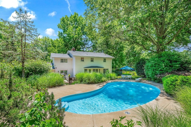 2215 E Rosebrier St, Springfield, MO 65804 - swimming pool featuring a patio and a diving board