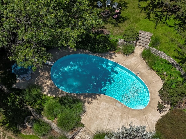 2215 E Rosebrier St, Springfield, MO 65804 - view of pool