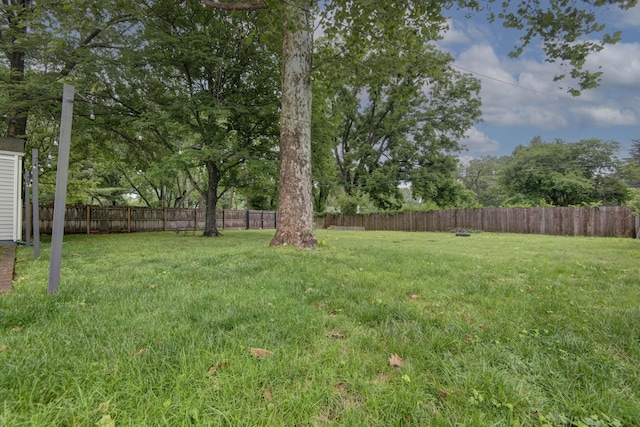 2344 E Manchester St, Springfield, MO 65804 - view of yard