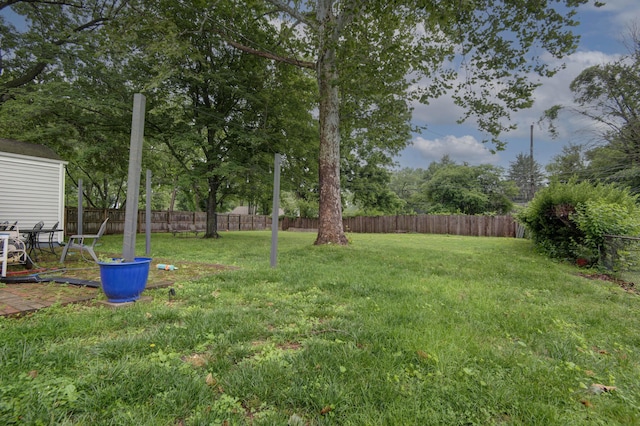 2344 E Manchester St, Springfield, MO 65804 - view of yard
