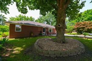 613 King St, Mount Vernon, MO 65712 - photo 5