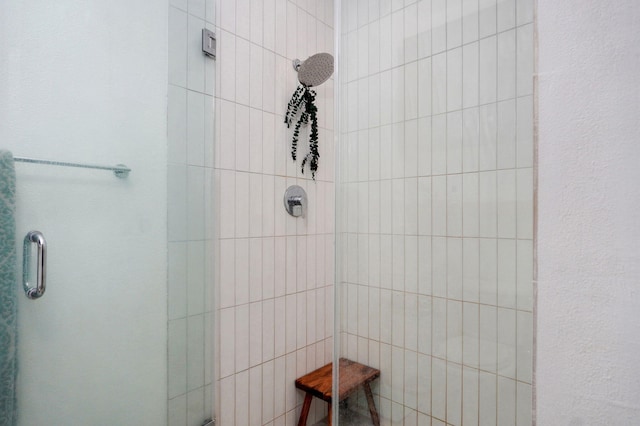 11976 N Northern Hts Dr, Brighton, MO 65617 - full bathroom with a stall shower