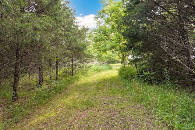 11976 N Northern Hts Dr, Brighton, MO 65617 - view of woods