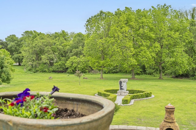 3550 W Morningside Pl, Springfield, MO 65807 - photo 42