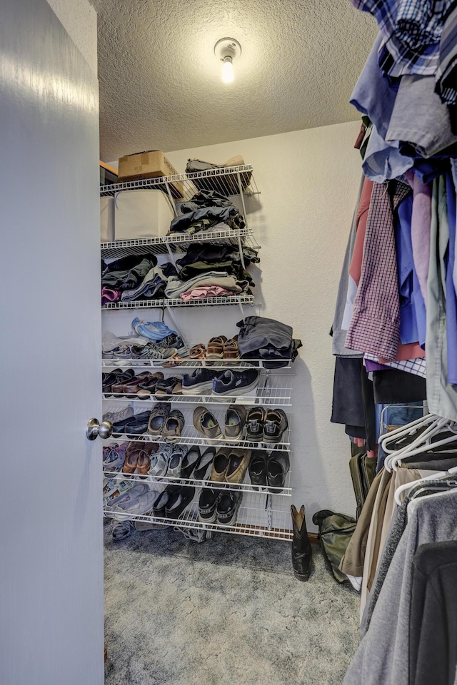 1631 Robertson Ave, Carthage, MO 64836 - spacious closet featuring carpet flooring