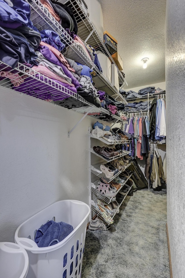1631 Robertson Ave, Carthage, MO 64836 - view of spacious closet