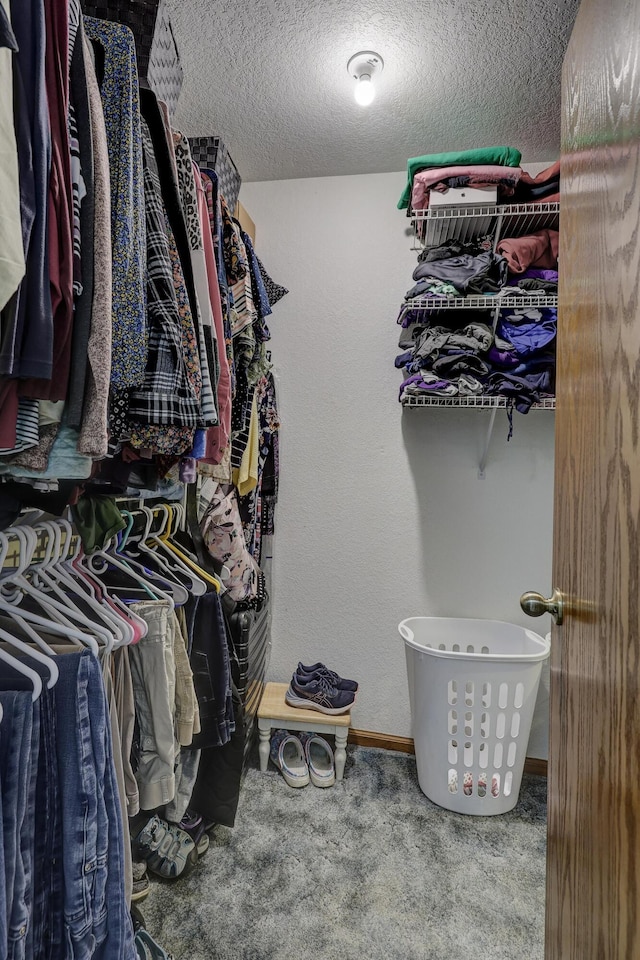 1631 Robertson Ave, Carthage, MO 64836 - spacious closet with carpet floors