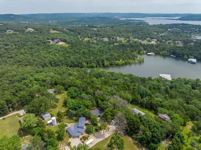 3050 Montague Ln, Kimberling City, MO 65686 - bird's eye view of a forest and a nearby body of water