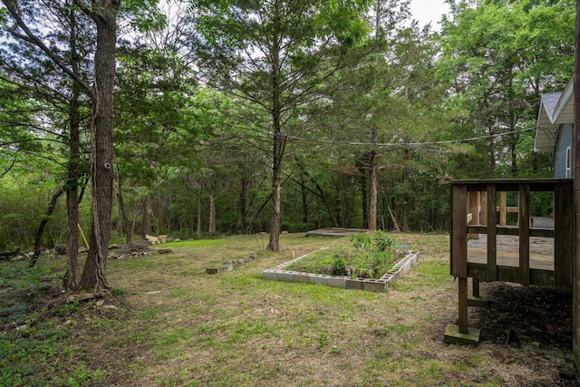 3050 Montague Ln, Kimberling City, MO 65686 - view of green lawn with a vegetable garden and a view of trees