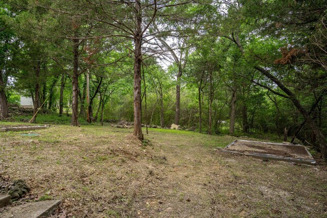 3050 Montague Ln, Kimberling City, MO 65686 - view of yard featuring a view of trees