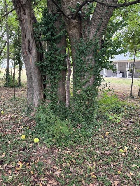 2291 S Farm Rd Unit 107, Springfield, MO 65802 - photo 69