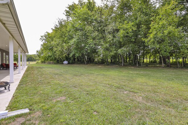 2291 S Farm Rd Unit 107, Springfield, MO 65802 - photo 50