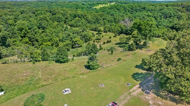 447 Flint Ln, Washburn, MO 65772 - aerial view of property's location featuring a heavily wooded area