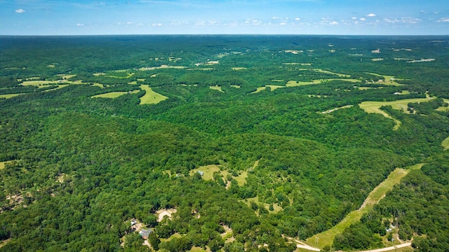 447 Flint Ln, Washburn, MO 65772 - aerial view of property's location with a forest
