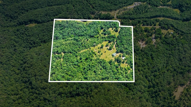 447 Flint Ln, Washburn, MO 65772 - aerial view of property's location with a forest and property parcel outlined