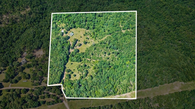 447 Flint Ln, Washburn, MO 65772 - aerial view of property and surrounding area featuring a forest and property parcel outlined