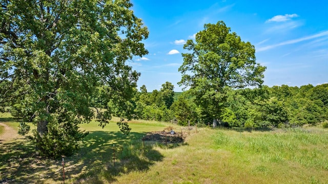 447 Flint Ln, Washburn, MO 65772 - view of woods