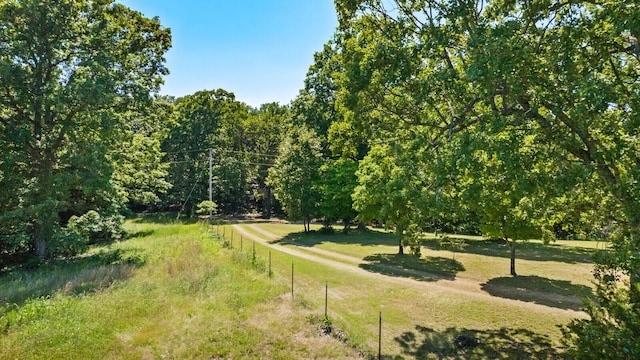 447 Flint Ln, Washburn, MO 65772 - view of yard