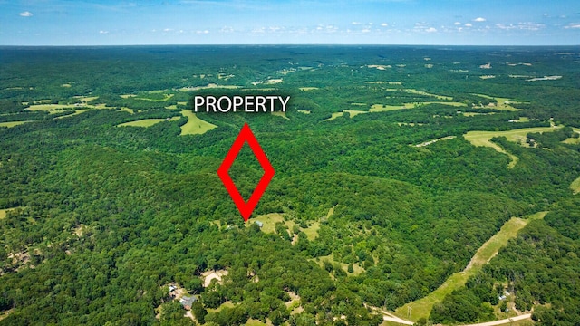 447 Flint Ln, Washburn, MO 65772 - aerial view of property and surrounding area featuring a forest