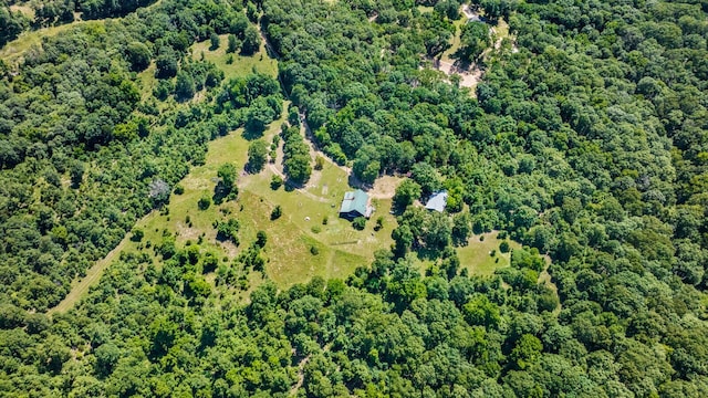 447 Flint Ln, Washburn, MO 65772 - view of property location featuring a forest