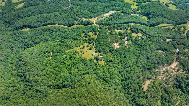 447 Flint Ln, Washburn, MO 65772 - aerial view of property's location featuring a heavily wooded area