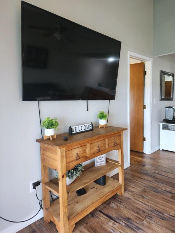388 Notch Ln Unit 12, Branson West, MO 65737 - detailed view of wood finished floors, ceiling fan, and baseboards
