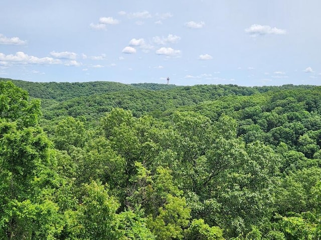 388 Notch Ln Unit 12, Branson West, MO 65737 - view of wooded area