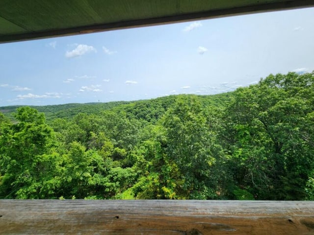 388 Notch Ln Unit 12, Branson West, MO 65737 - detailed view of a heavily wooded area