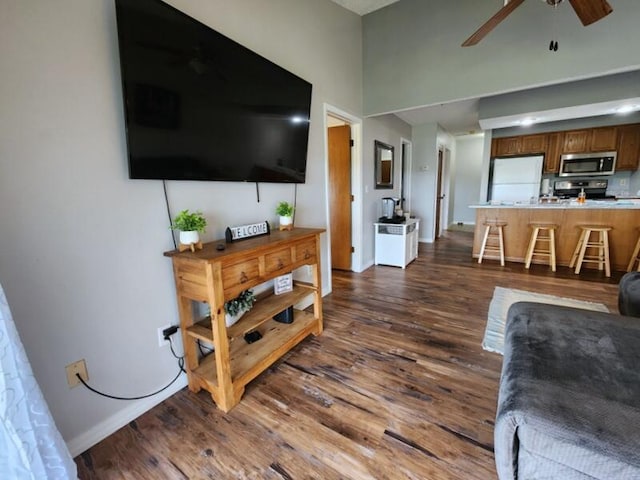 388 Notch Ln Unit 12, Branson West, MO 65737 - living area with ceiling fan, dark wood-style flooring, and baseboards