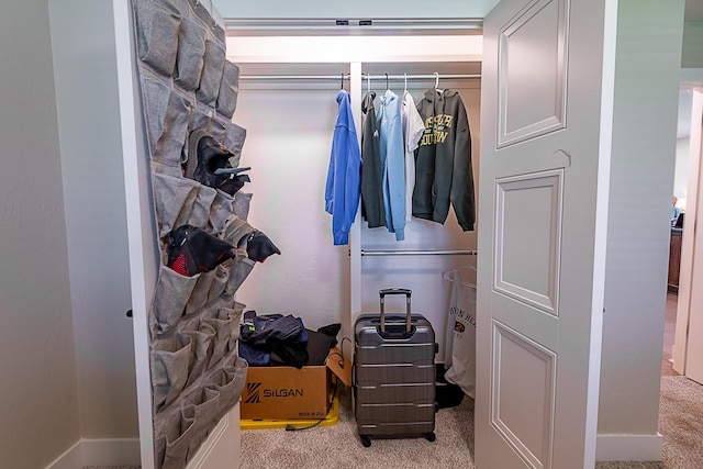 2370 E Cardinal St, Springfield, MO 65804 - view of closet
