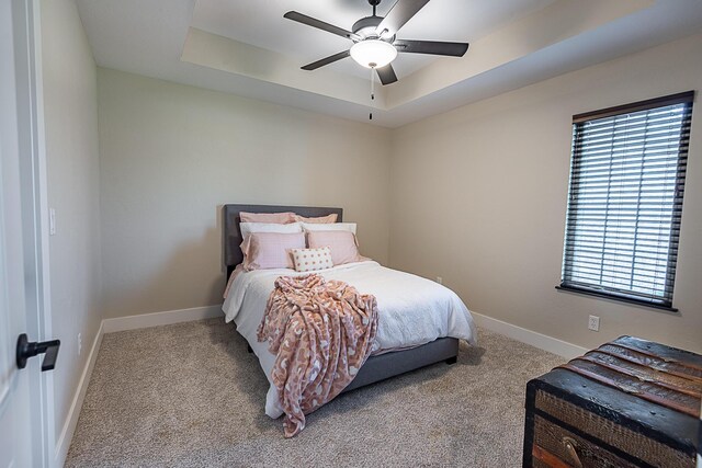 2370 E Cardinal St, Springfield, MO 65804 - bedroom with carpet, a raised ceiling, and multiple windows