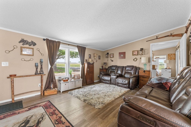 28286 Clay Rd, Eagle Rock, MO 65641 - living area with crown molding, wood finished floors, a textured ceiling, and baseboards
