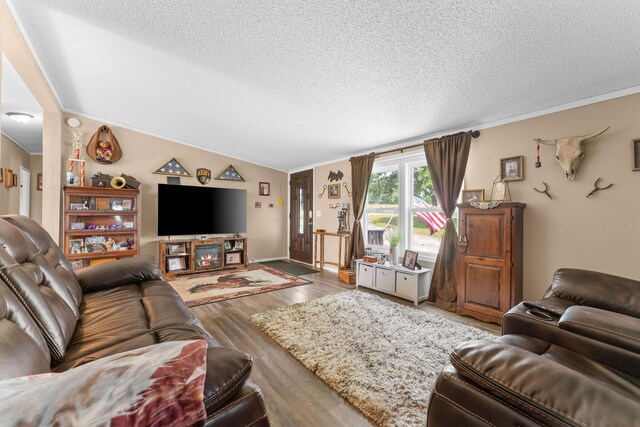 28286 Clay Rd, Eagle Rock, MO 65641 - living room with wood finished floors, a textured ceiling, ornamental molding, and lofted ceiling