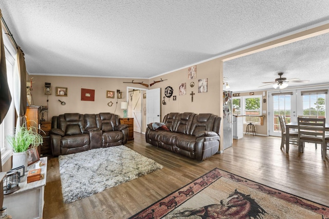 28286 Clay Rd, Eagle Rock, MO 65641 - living area with a textured ceiling, wood finished floors, a ceiling fan, and crown molding
