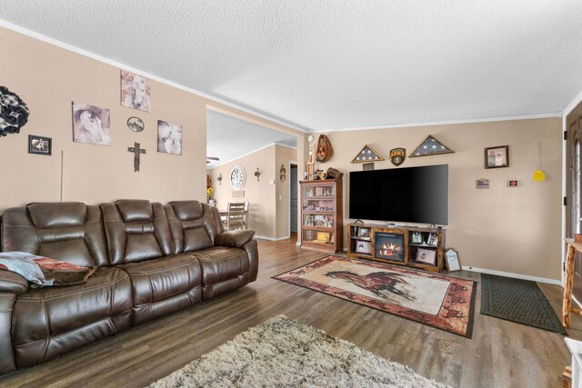28286 Clay Rd, Eagle Rock, MO 65641 - living area with a textured ceiling, wood finished floors, ornamental molding, and baseboards
