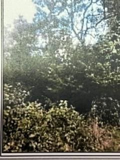 000 County Road 421, Birch Tree, MO 65438