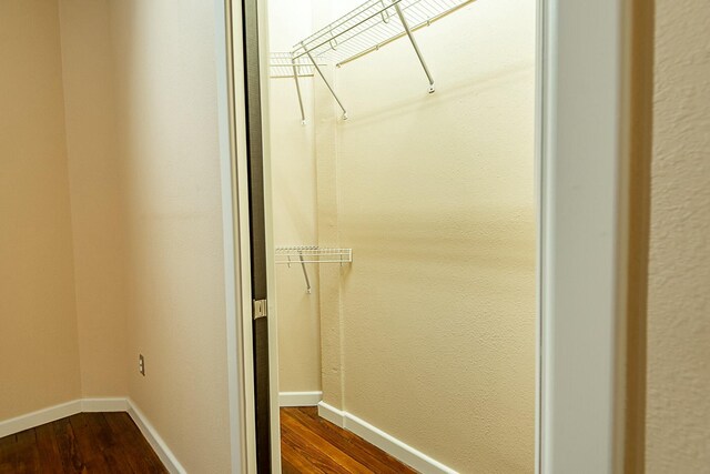 walk in closet featuring dark wood finished floors