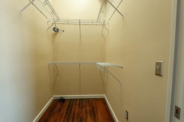 walk in closet featuring dark wood-style floors