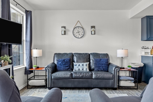690 Fall Creek Dr Unit 5, Branson, MO 65616 - living area featuring wood finished floors and baseboards
