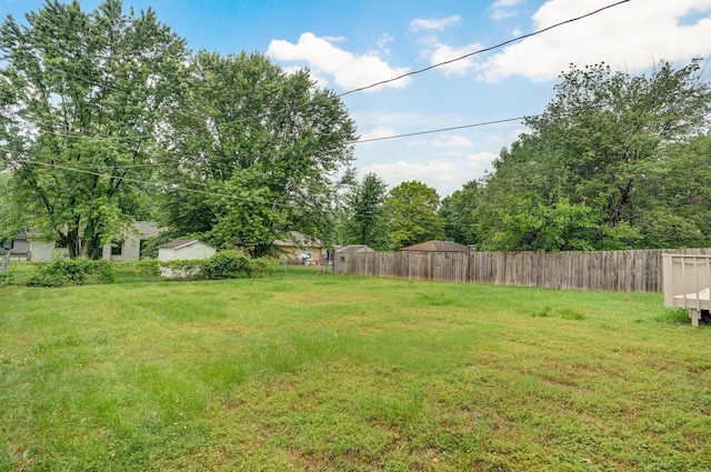 1436 W Whiteside St, Springfield, MO 65807 - view of yard