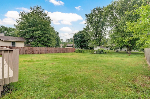 1436 W Whiteside St, Springfield, MO 65807 - view of yard