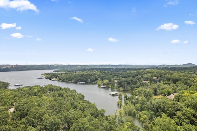 44 Bittersweet Cir, Kimberling City, MO 65686 - photo 36