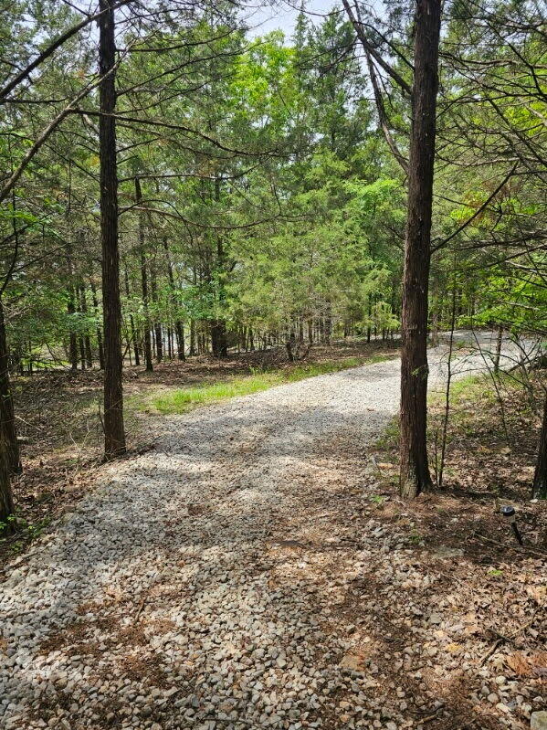 44 Bittersweet Cir, Kimberling City, MO 65686 - photo 42