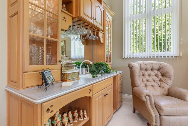 193 Honeybee Dr, Branson, MO 65615 - bar featuring light colored carpet and a sink