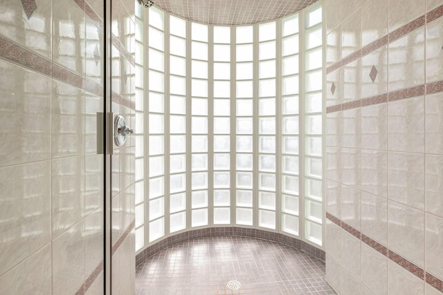 193 Honeybee Dr, Branson, MO 65615 - full bathroom with a tile shower