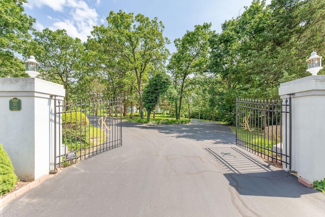 193 Honeybee Dr, Branson, MO 65615 - gate with view of scattered trees