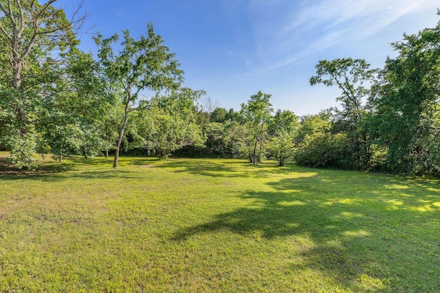 193 Honeybee Dr, Branson, MO 65615 - view of green lawn