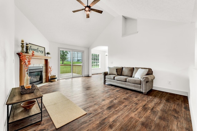 524 W Woodbine Rd, Nixa, MO 65714 - living room featuring ceiling fan, high vaulted ceiling, arched walkways, wood finished floors, and a glass covered fireplace